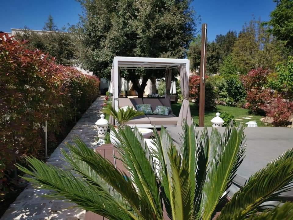 Apulia Dream B&B Le Lamie di Olimpe Екстериор снимка